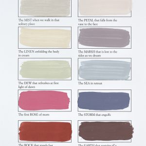 Solace Paint Collection
